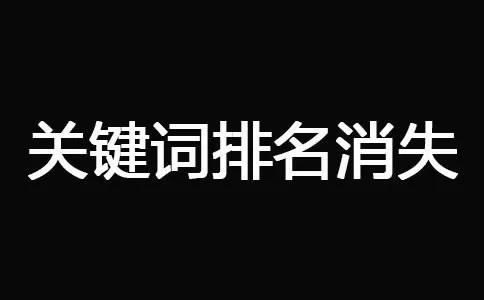 十堰網(wǎng)站優(yōu)化-關(guān)鍵詞排名消失