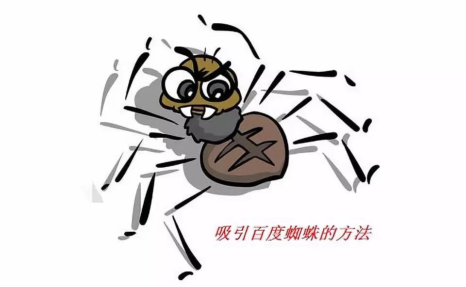 十堰網(wǎng)站優(yōu)化：讓你網(wǎng)站秒被蜘蛛抓取的seo大招