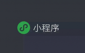 小程序搜索優(yōu)化指南(SEO)來了！